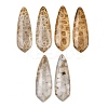 Natural Fossil Coral Pendants G-B187-01C-01-1