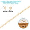 1 Strand Natural Trochus Shell Rondelle Beads Strands SSHEL-TA0001-16B-3