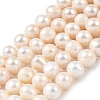 Natural Cultured Freshwater Pearl Beads Strands PEAR-I007-07U-01B-2