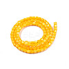Natural Freshwater Shell Beads Strands SHEL-N003-33-A08-2
