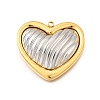 304 Stainless Steel Pendants STAS-M123-03I-PG02-1