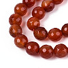Natural Carnelian(Dyed & Heated) Beads Strands G-T139-93-3