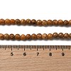 Natural Maifanite/Maifan Stone Beads Strands G-P451-01C-B-5