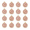 Golden Plated Alloy Enamel Charms X-ENAM-S118-07C-2