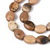 Natural Picture Jasper Beads Strands G-T142-30-3