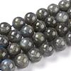 Natural Gemstone Labradorite Round Beads Strands G-E251-33-12mm-4