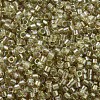 MIYUKI Delica Beads X-SEED-J020-DB1766-3
