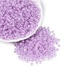 FGB Grade A Transparent Glass Seed Beads SEED-Q040-03A-05-2