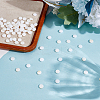 150Pcs Natural Freshwater Shell Beads SHEL-ME0001-06-4