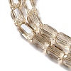 Electroplate Glass Beads Strands EGLA-D031-01-17-3