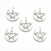 Non-Tarnish 201 Stainless Steel Pendants STAS-N098-116P-2