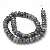 Natural Labradorite Rondelle Bead Strands G-O095-05-G-3