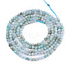 Natural Russia Amazonite Beads Strands G-S300-13-2mm-2