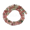Natural Red and Green Strawberry Quartz Beads Strands GG-NH0006-A01-3