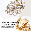 2Pcs Alloy Rhinestone Shoe Decorations FIND-CP0002-21-6
