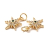 Rack Plating Brass Micro Pave Cubic Zirconia Pendants LS-KK-E081-10G-3