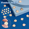 120Pcs 10 Sets Constellation Theme Golden Plated Alloy Charms FIND-PH0008-88-4