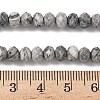 Natural Map Stone/Picasso Stone/Picasso Jasper Bead Strands G-D344-A18-6
