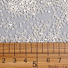 11/0 FGB Grade A Ceylon Glass Seed Beads X-SEED-N001-B-0481-3