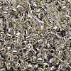 TOHO 3/0 Round Beads SEED-XTR03-0021-3
