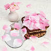 100G Satin Artificial Rose Petals DIY-SP0005-68C-5