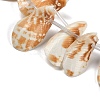 Natural Shell Beads Strands SHEL-K009-12-3