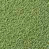 TOHO Round Seed Beads SEED-JPTR15-0945-2