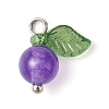 Natural Dyed Malaysia Jade Fruit Charms PALLOY-JF02431-03-3