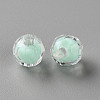 Transparent Acrylic Beads TACR-S152-04A-2
