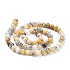 Natural African Opal Beads Strands G-B048-B03-01-4