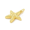 Brass Pendants KK-U044-10G-02-2
