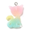 Translucent Resin Pendants RESI-G069-03C-2