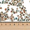 6/0 Spray Paint Fringe Glass Seed Beads SEED-H003-11G-4
