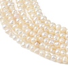 Natural Cultured Freshwater Pearl Beads Strands PEAR-L034-14B-3