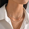 Non-Tarnish 304 Stainless Steel Double-Layer Necklace LS-NJEW-Q321-01P-5