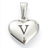 304 Stainless Steel Pendants LS-STAS-P278-01V-P-1