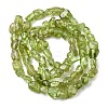 Natural Peridot Beads Strands G-H346-A01-01-3