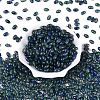 Glass Seed Beads SEED-T009-02L-1