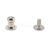 Zinc Alloy Rivets Set PW-WGCEAE9-06-1