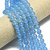 Natural Malaysia Jade Beads Strands G-L645-C01-10mm-21-3