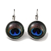 Eye Glass Leverback Earrings with Brass Earring Pins EJEW-Q798-01S-1