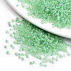 8/0 Glass Seed Beads X1-SEED-A014-3mm-135-1