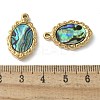 Oval 304 Stainless Steel Natural Shell Pendants Ion Plating(IP) STAS-U037-01G-01-3