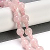 Natural Rose Quartz 3-Hole Guru Beads Strands G-H064-E01-01-2