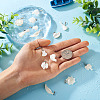 Craftdady 14Pcs 7 Styles Natural Freshwater Shell Pendants SHEL-CD0001-05-15