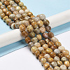Natural Fossil Coral Beads Strands G-C038-02T-3