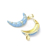 Brass Micro Pave Cubic Zirconia with Enamel Pendants KK-Z134-13G-02-2