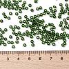 MIYUKI Round Rocailles Beads X-SEED-G008-RR0158-4