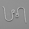 Sterling Silver Earring Hooks STER-G011-05-2