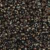 MIYUKI Round Rocailles Beads X-SEED-G010-RR4503-2